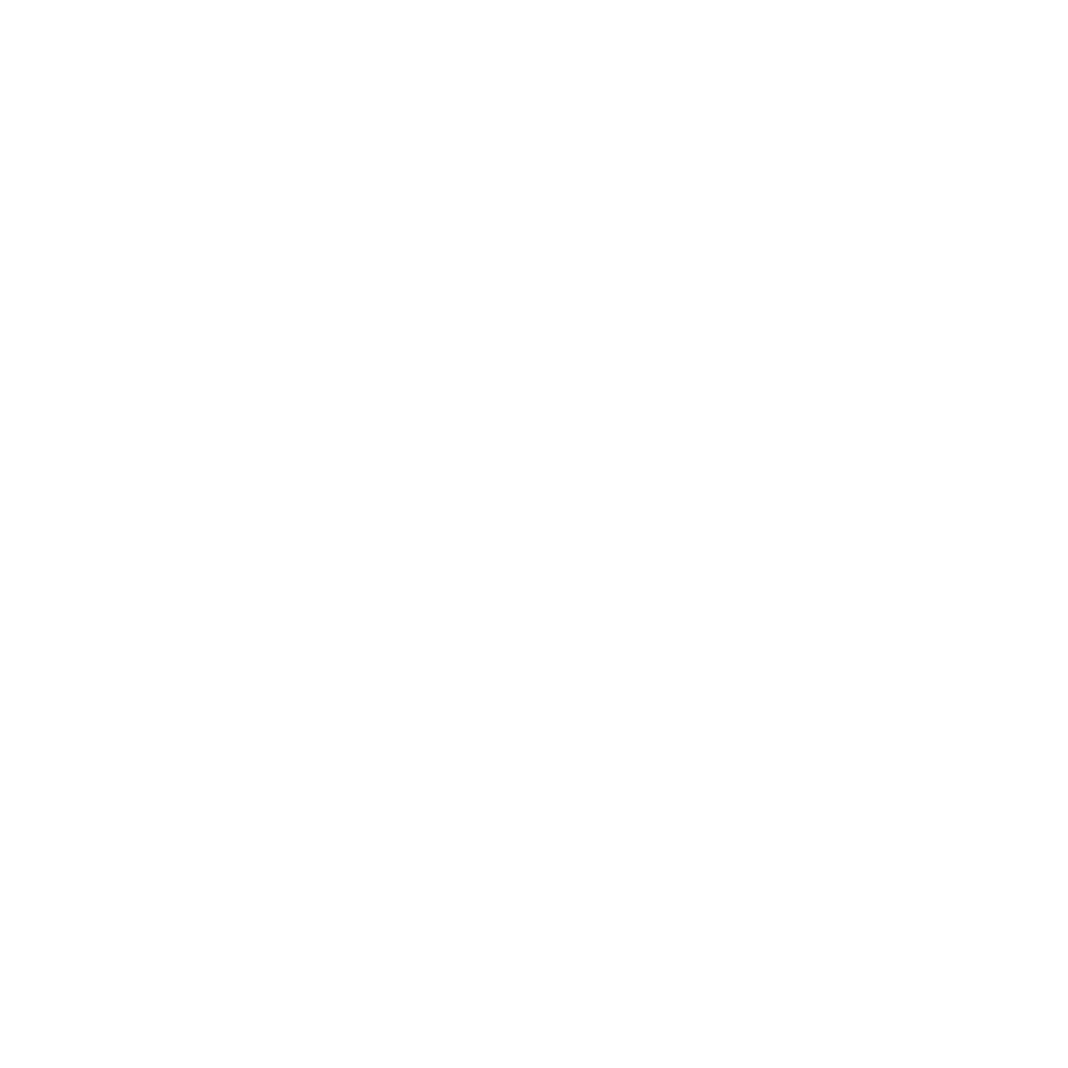 Transporttaxivest